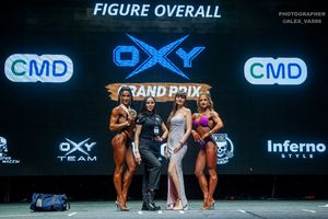 FIGURE OVERALL